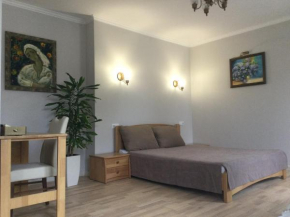 Apartment Kvitka